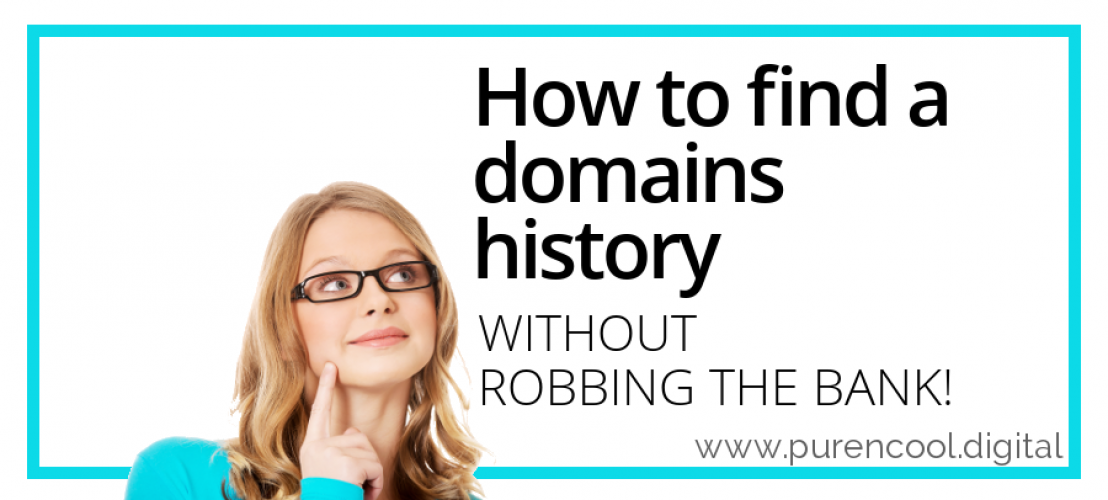 Finding a domains history