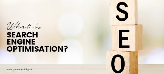 What is search engine optimisation